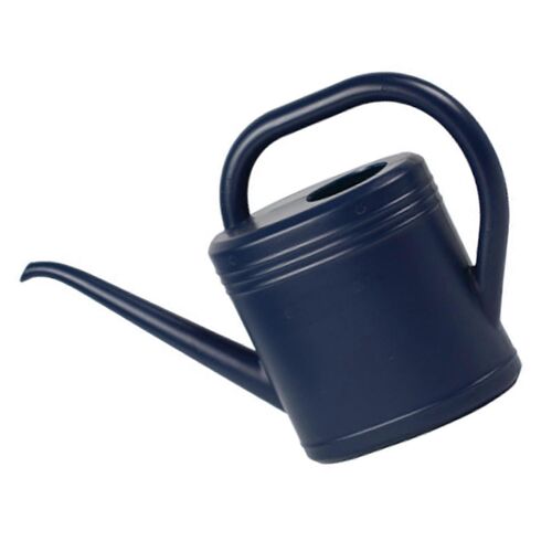 Arrosoir moderne avec tete d'arrosage amovible, 2 L, leger, bleu, pour plantes de balcon