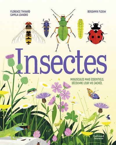Insectes - Minuscules Mais Essentiels, Découvre Leur Vie Cachée