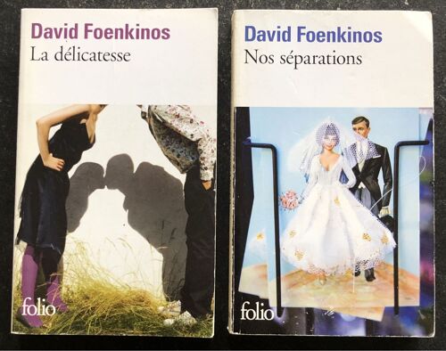 David Foenkinos, Lot De Deux (2) Romans : Nos Séparations ; La Délicatesse 