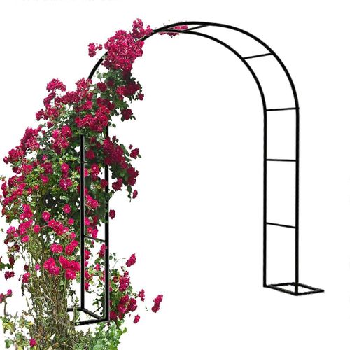 Arche De Jardin En Metal Avec Rosace, Pergola 300x220cm, Arche De Mariage Exterieure