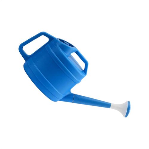 Arrosoir 10L anthracite ¿ Plastique robuste ¿ Spray amovible ¿ pour fleurs et plantes