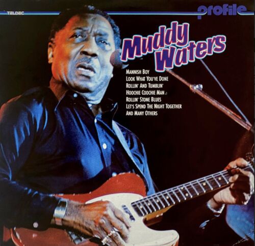 Muddy Waters Profile 12 Songs Compilation Vinyle