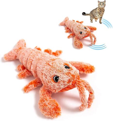 Poisson Électronique Interactif Pour Chats - Rechargeable Avec Herbe À Chat - Lavable