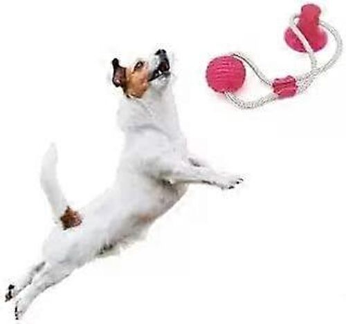 Jouet À Mâcher Pour Molaires Des Chiots - Résistant Et Réutilisable - Santé Dentaire