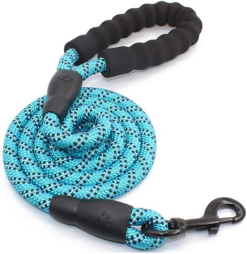 Laisse Réfléchissante Chien 150cm - Nylon Réglable