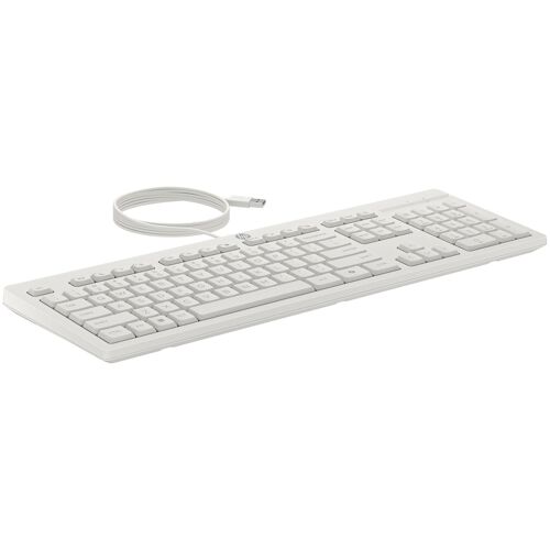 HP Ensemble combiné clavier et souris filaires 225