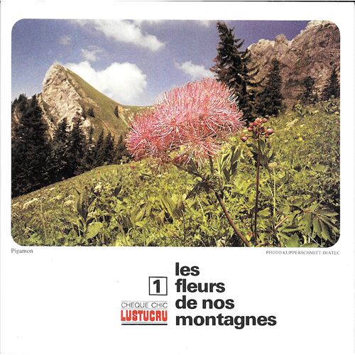 Les Fleurs De Nos Montagnes N°1 : Images Chèque Chic Lustucru