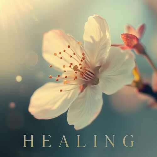 Healing / Various