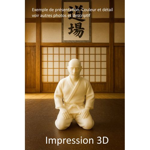 Figurine 3d Judoka