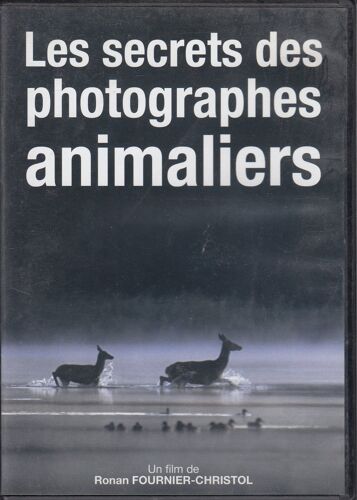 Les Secrets Des Photographes Animaliers
