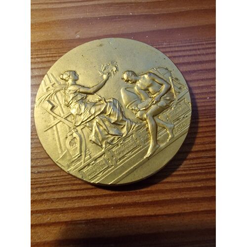 Medaille En Bronze "Societé D'Instruction Populaire De L'Yonne" (Version Diametre 5 Cm Et 3cm)
