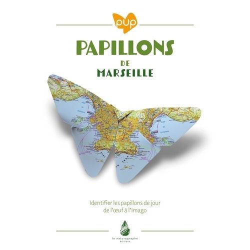 Papillons De Marseille - Identifier Les Papillons De Jour De L'oeuf À L'imago
