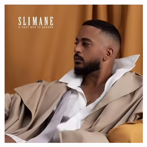 Il Faut Que Tu Saches - Cd Album