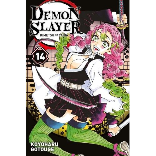 Demon Slayer - Tome 14