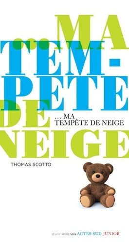 Ma Tempête De Neige