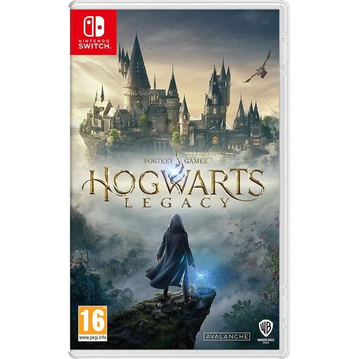 Jeu Hogwarts Legacy - Version Xbox One, Occasion Bon État, Sans Notice