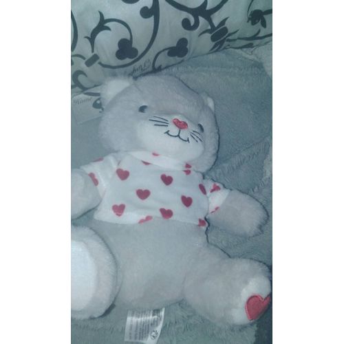 doudou chat francoise saget coeur