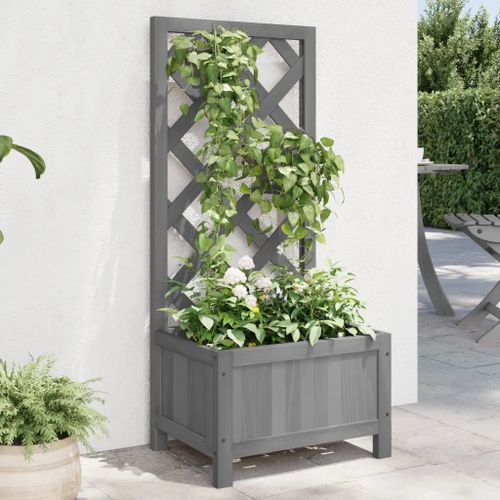 Prolenta Premium - Jardinière Avec Treillis Gris Bois Massif De Sapin