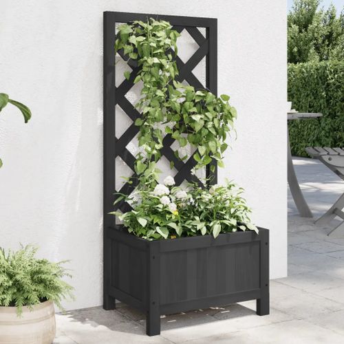 Prolenta Premium - Jardinière Avec Treillis Noir Bois Massif De Sapin