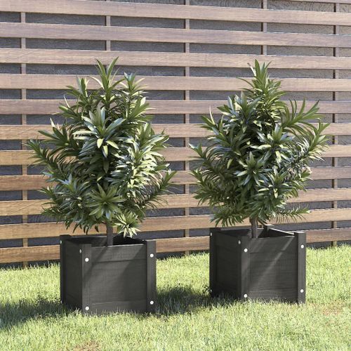 Prolenta Premium - Jardinières D'extérieur 2 Pcs Gris 31x31x31 Cm Bois De Pin