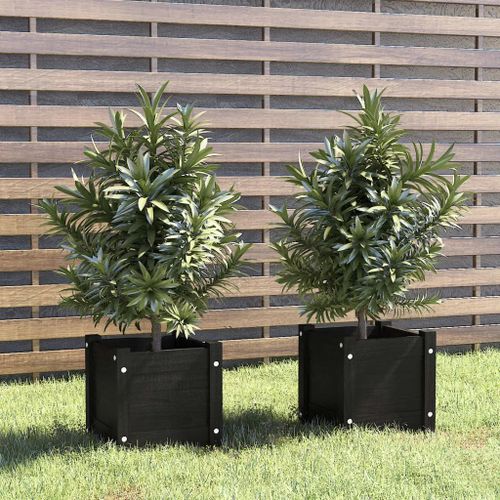 Prolenta Premium - Jardinières D'extérieur 2 Pcs Noir 31x31x31 Cm Bois De Pin