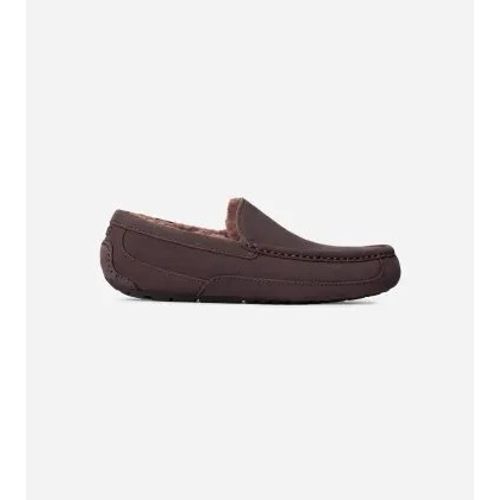 Chaussures Ugg Ascot Chaussons Pour In Dusted Cocoa 40 Daim