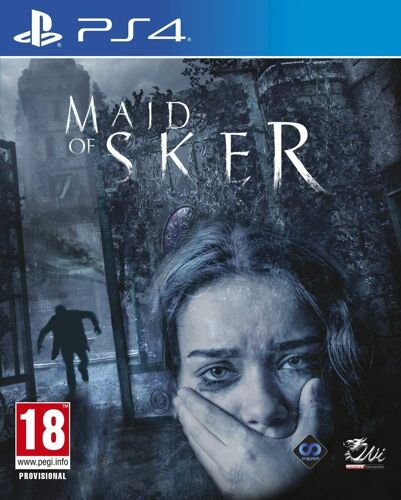 Ps4 Maid Of Sker Fr