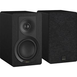 Dali Kupid Bois noir