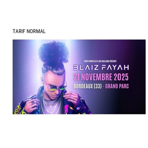 Une Place De Concert Blaiz Fayah Salle Des Fêtes Du Grand Parc 21 Novembre 2025 Bordeaux