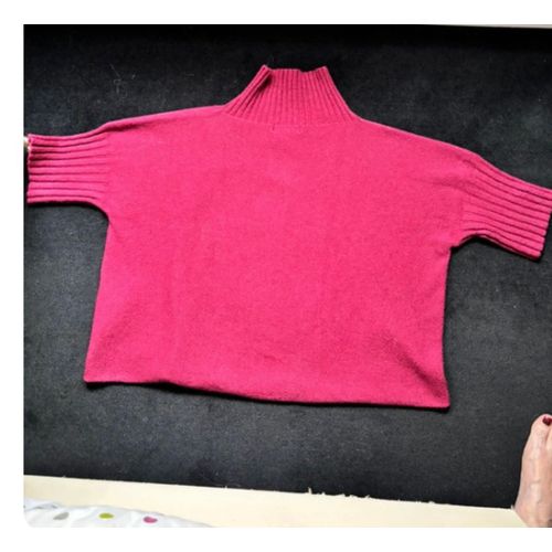 Pull Alexandre Laurent