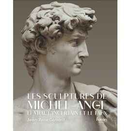 Les Sculptures De Michel-Ange