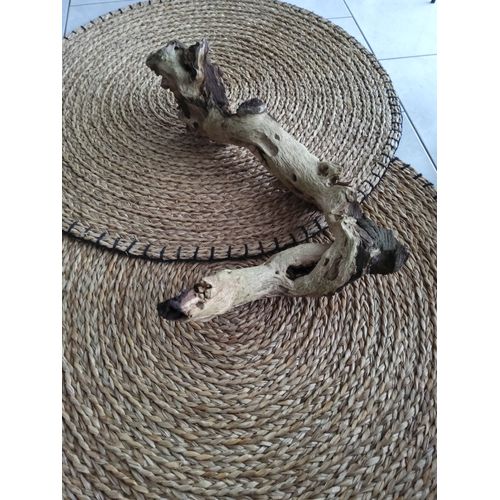 Grande Racine Branche Aquarium