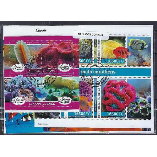 Animaux Coraux 10 Blocs Différents