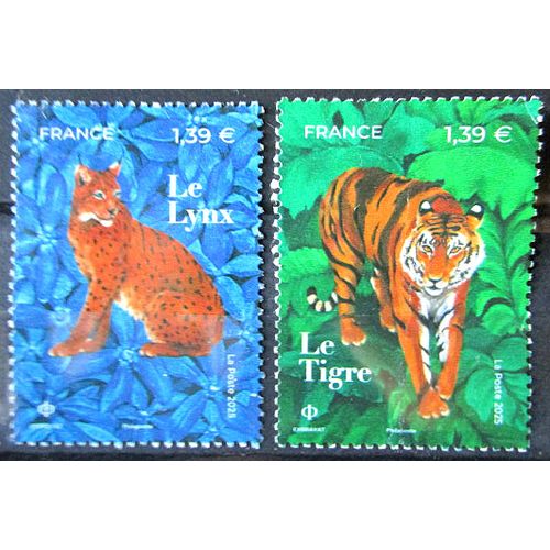 2025. F5848;F5850: Félins.