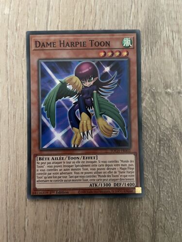 Carte Yu Gi Oh ! Dame Harpie Toon Toch-Fr002
