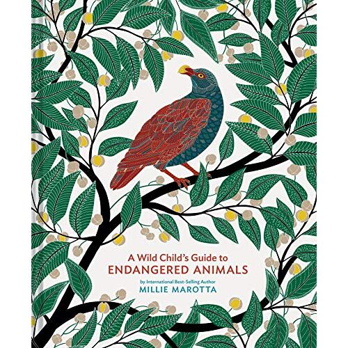 A Wild Child's Guide To Endangered Animals