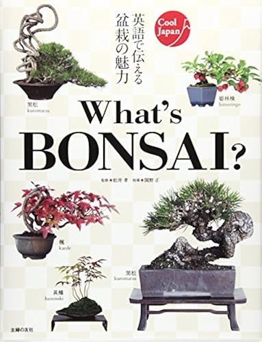 What's Bonsai?