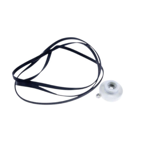 Ensemble courroie 1965H6 + poulie d'origine Sèche-linge (57X0545 57X2507 BRANDT VEDETTE THOMSON FAGOR BLOMBERG SANGIORGIO CRYSTAL PRIVILEG ELEKTRA-BREGENZ NOGAMATIC QUELLE SMEG BRU SINGER FUTURA EDESA