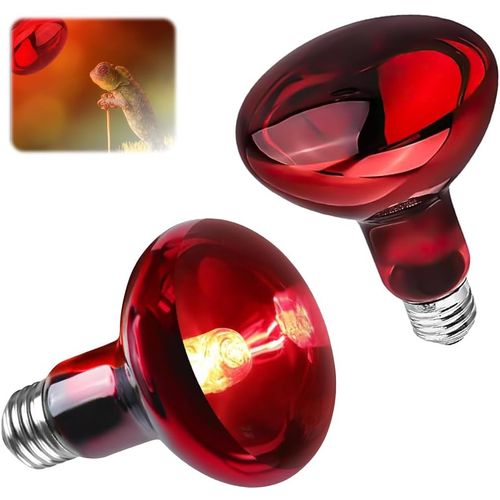 Aiicioo - 2 Lampe Chauffante 100w - Pour Reptiles - Serpent - Tortues - Lezard