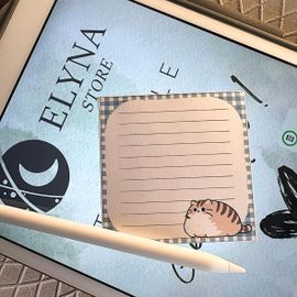 Post-It Personnalisé - Gros Chat - Fait À La Main