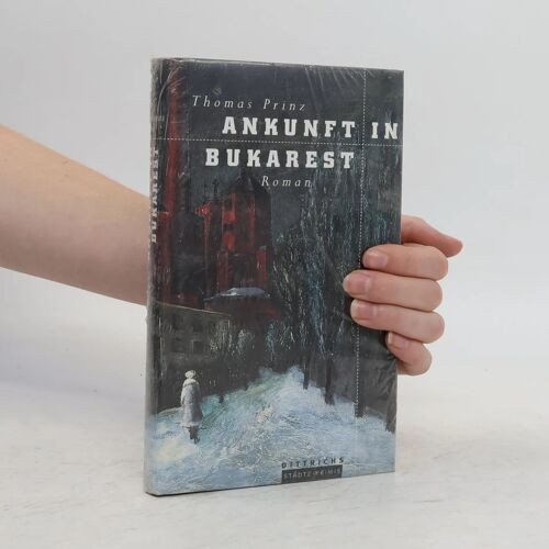 Ankunft In Bukarest