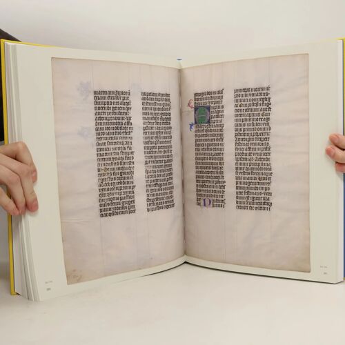 Die Goldene Bulle Von 1356
