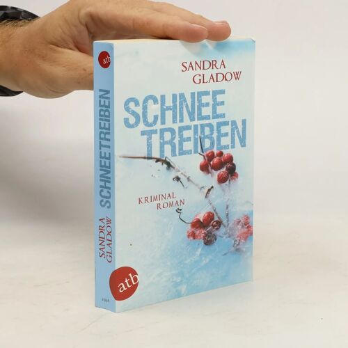 Schneetreiben