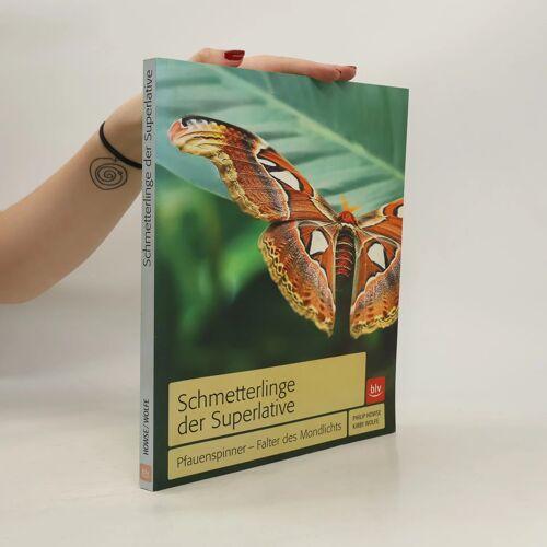 Schmetterlinge Der Superlative