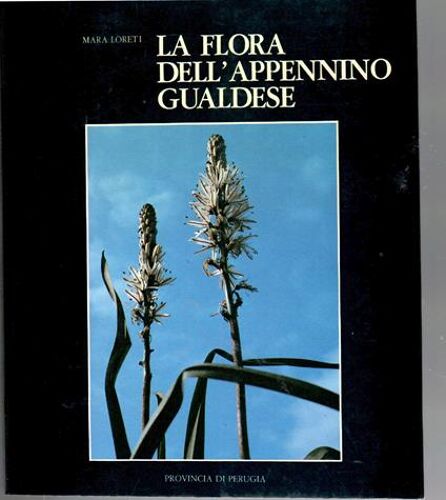 La Flora Dell'Appennino Gualdese Di Mara Loretti (Autore) Provincia Di Perugia, 1986 - Flore