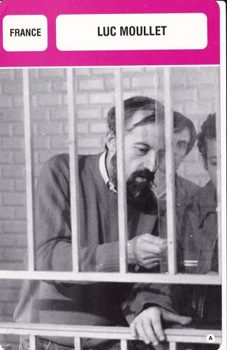 Fiche Monsieur Cinema Luc Moullet