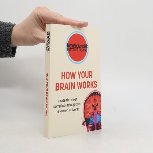 How Your Brain Works