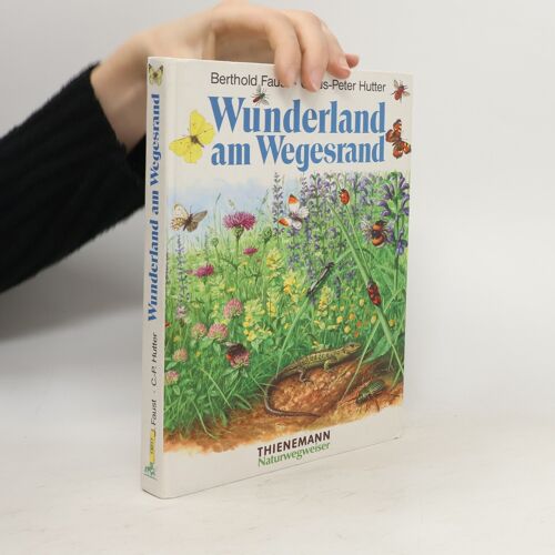 Wunderland Am Wegesrand