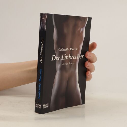 Der Einbrecher