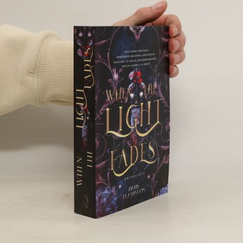 When The Light Fades